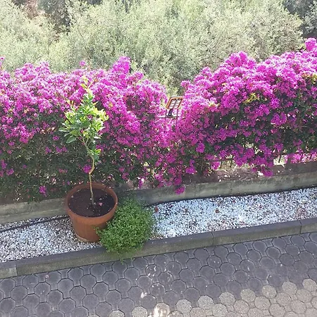 Victoria, * Taormina
